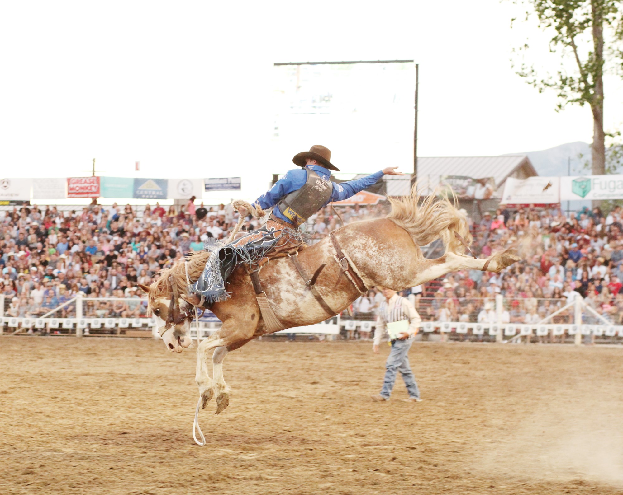 man on horse during rodeo